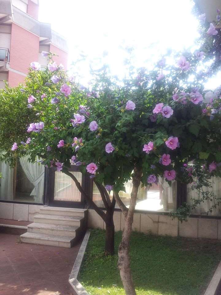 Hotel De La Ville Central Latina Udogodnienia zdjęcie